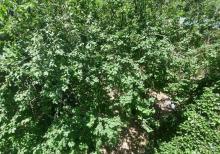 Bakı şəhəri Yeni Yasamal rayonu Dadaş Bünyadzadə küçəsi 2 bina 2 mənzil 57