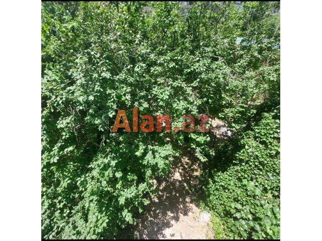 Bakı şəhəri Yeni Yasamal rayonu Dadaş Bünyadzadə küçəsi 2 bina 2 mənzil 57