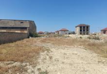 Zengezur restorani ile uzbe uz