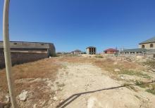 Zengezur restorani ile uzbe uz