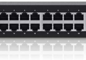 Linksus switch 24 port 4 port gigabayit