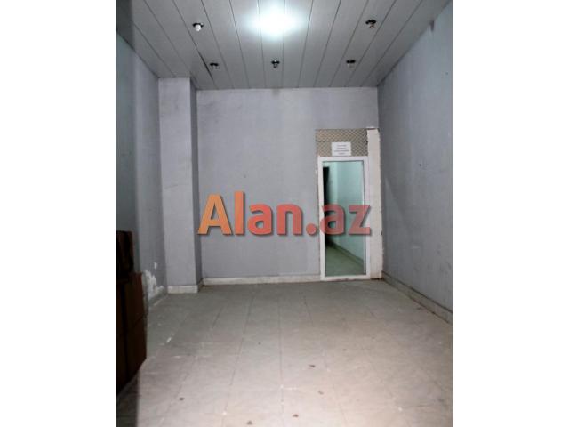 Xalqlar dostlugu obyekt