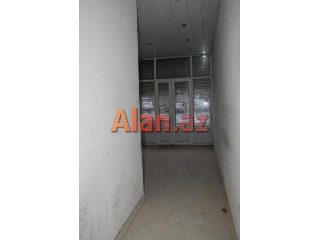 Xalqlar dostlugu obyekt