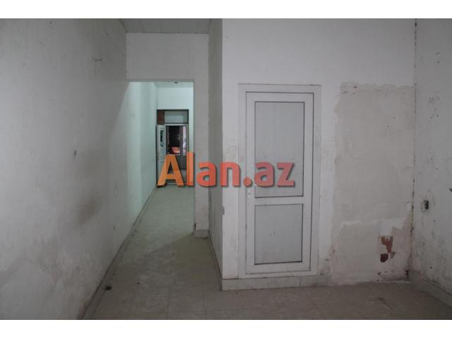 Xalqlar dostlugu obyekt