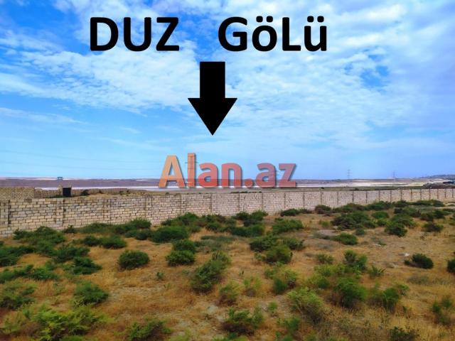 Masazir Duz golu