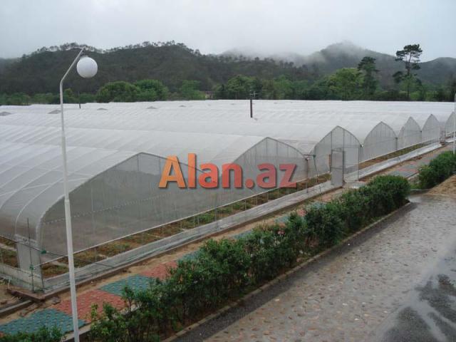 İstixana quraşdırılıması. parnik.