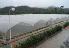 İstixana quraşdırılıması. parnik.