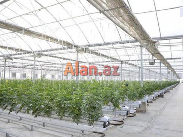 İstixana quraşdırılıması. parnik.