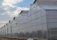 İstixana quraşdırılıması. parnik.