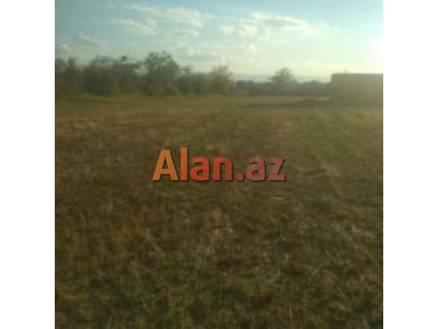 Zaqatala rayonu danaçı massivi