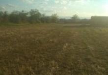 Zaqatala rayonu danaçı massivi