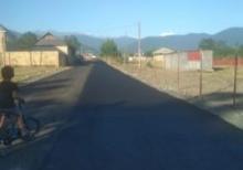 Zaqatala rayonu danaçı massivi