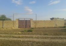 YASMA DALGA massivi -241