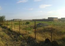 YASMA DALGA massivi -241