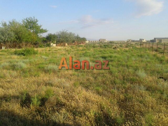 YASMA DALGA massivi -241