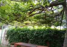 Sumqayit seher Nasosnu qesebesi