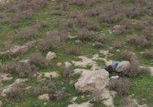 Şıxmahmud kəndi torpaq