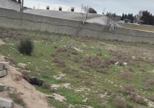 Şıxmahmud kəndi torpaq