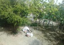 Müşviqabadda temirli eşyalı bağ evi satılır