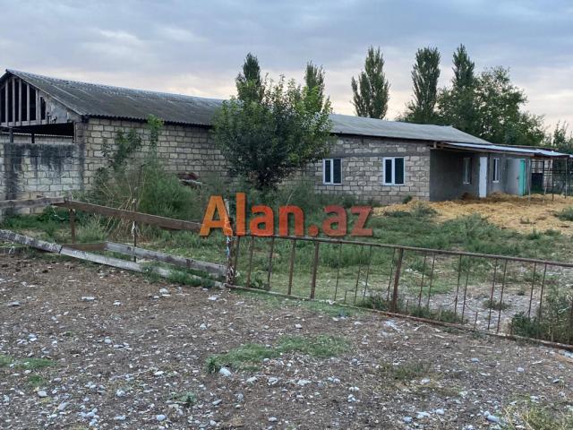 Göyçay ray, Çərəkə kəndində 16 hektar torpaq satılır.