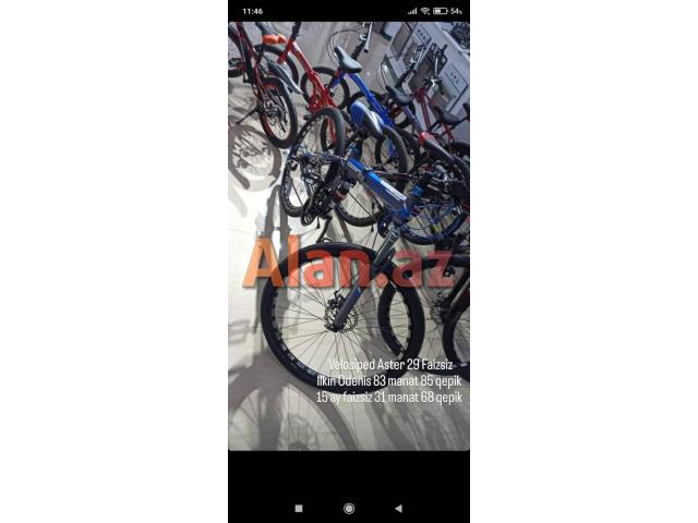 velosiped aster 29luq