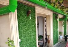 Yaşıl hasar -Süni dekorativ örtüklər