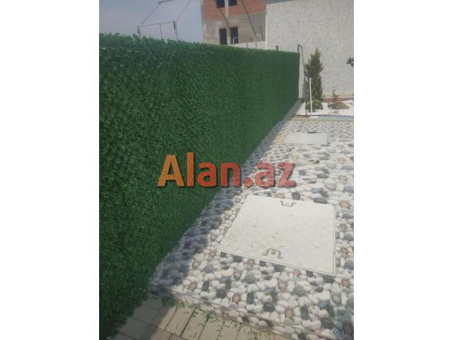 Yaşıl hasar -Süni dekorativ örtüklər