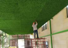 Yaşıl hasar -Süni dekorativ örtüklər