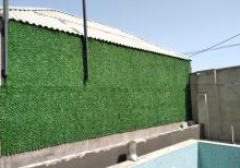 Yaşıl hasar -Süni dekorativ örtüklər