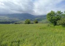 Qusar rayon Əniq kəndi