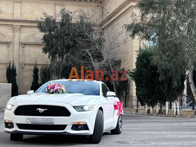 Ford Mustang bey gelin toy masini sifarisi