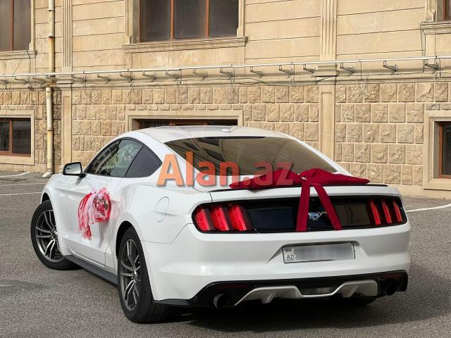 Ford Mustang bey gelin toy masini sifarisi