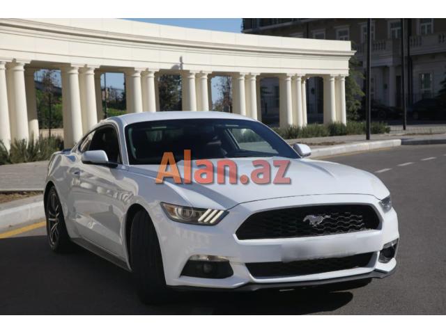 Ford Mustang bey gelin toy masini sifarisi