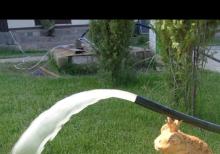 Su artezian quyuların qazilmasi