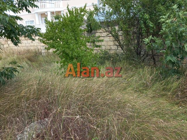 Qubada həyətyanı torpaq sahəsi satılır