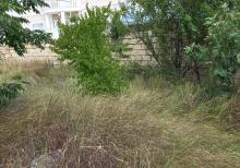 Qubada həyətyanı torpaq sahəsi satılır