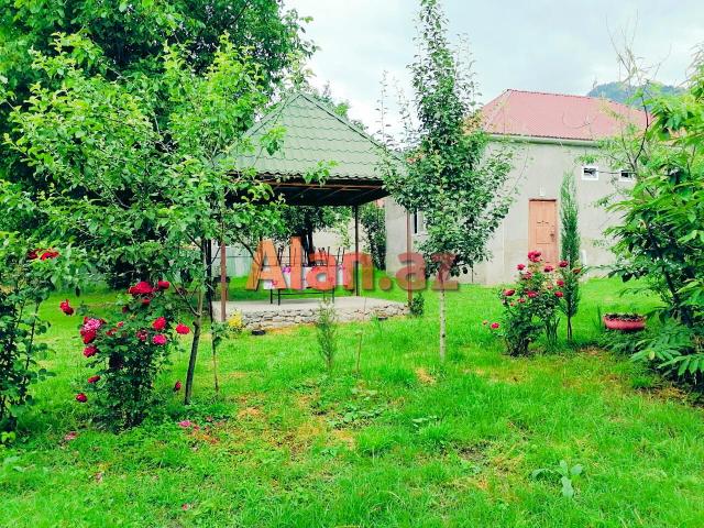 Qəbələ Rayon Heydər Əliyev Prospekti