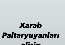 Paltaryuyan hisseleri