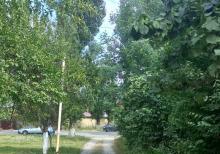 Qusarın Bədirqala kəndində həyətyanı torpaq sahəsi satılır