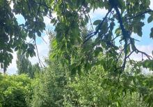 Qusarın Bədirqala kəndində həyətyanı torpaq sahəsi satılır