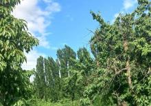 Qusarın Bədirqala kəndində həyətyanı torpaq sahəsi satılır