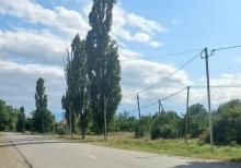 Qusarın Bədirqala kəndində həyətyanı torpaq sahəsi satılır