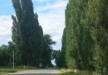 Qusarın Bədirqala kəndində həyətyanı torpaq sahəsi satılır