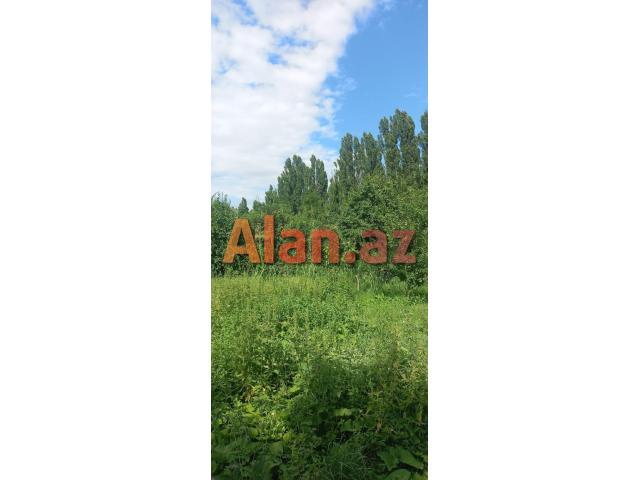 Qusarın Bədirqala kəndində həyətyanı torpaq sahəsi satılır