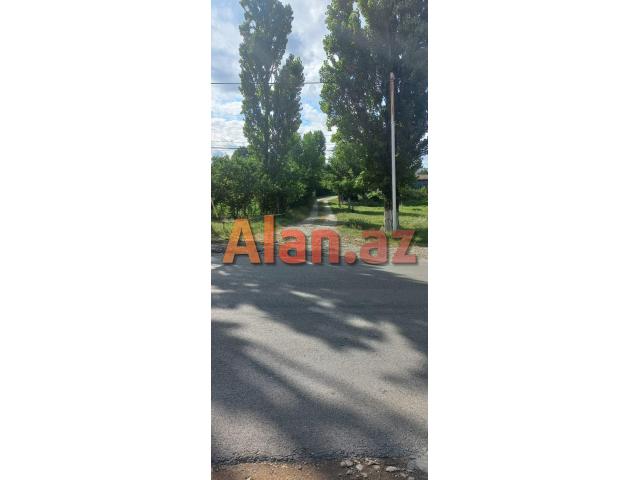 Qusarın Bədirqala kəndində həyətyanı torpaq sahəsi satılır