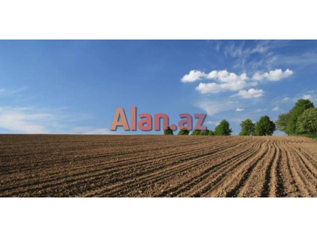 Şabranda 47 sot torpaq satılır