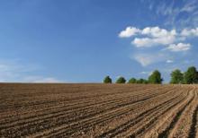 Şabranda 47 sot torpaq satılır