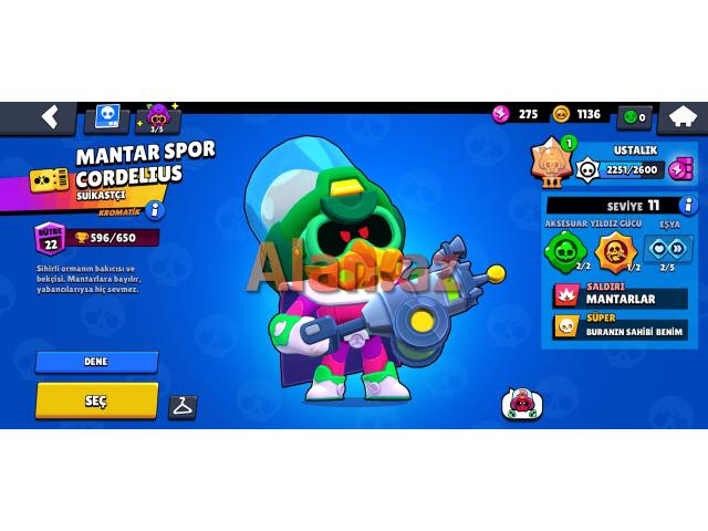 Brawl Stars