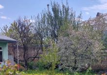 Qubada gűnlűk  kirayə evlər