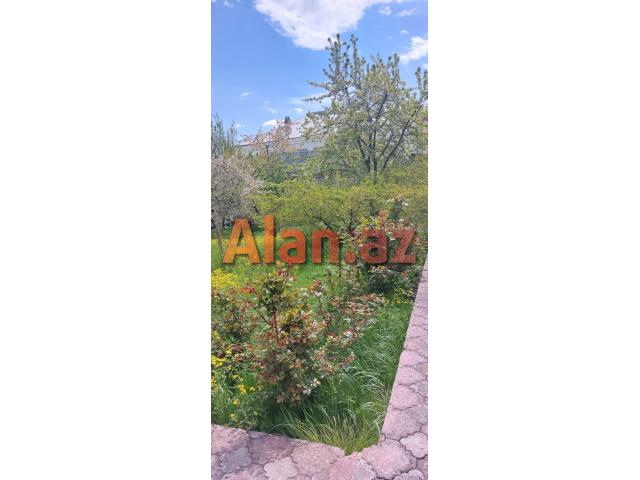 Qubada gűnlűk kirayə evlər